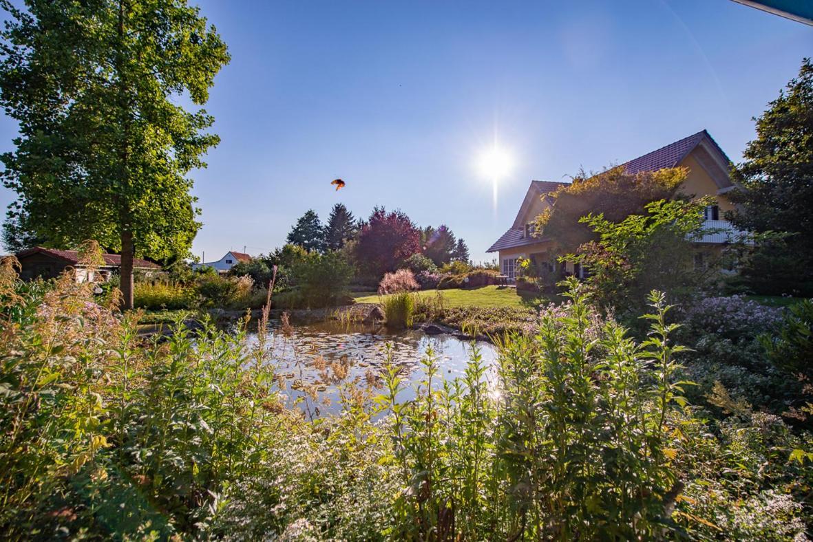 Einzigartige Naturoase Im Sueden Von Ingolstadt Brautlach Dış mekan fotoğraf